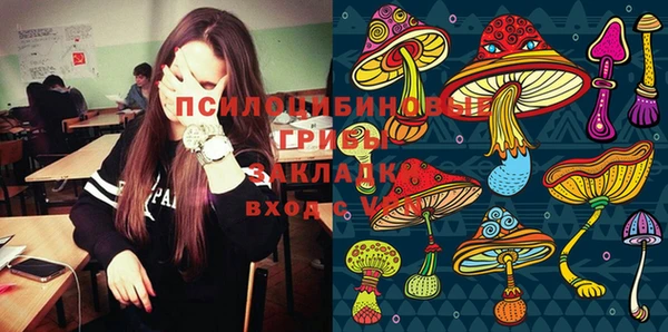 тгк Медногорск