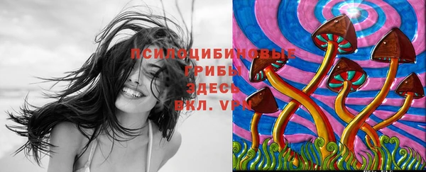 тгк Медногорск