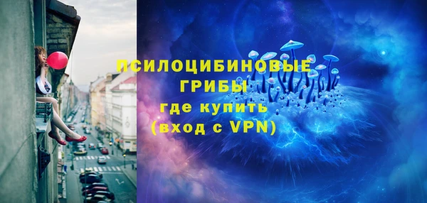 ECSTASY Михайлов