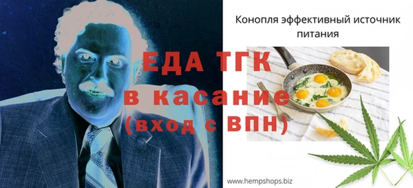 тгк Медногорск