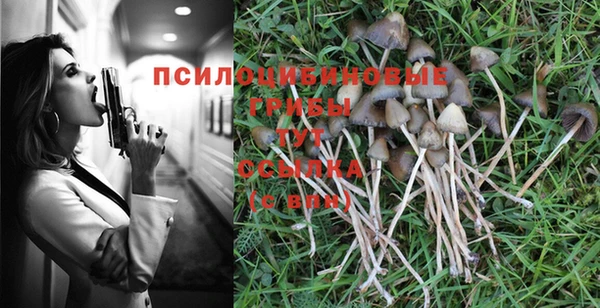 тгк Медногорск