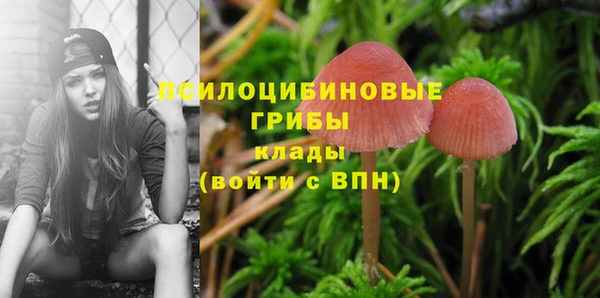 тгк Медногорск
