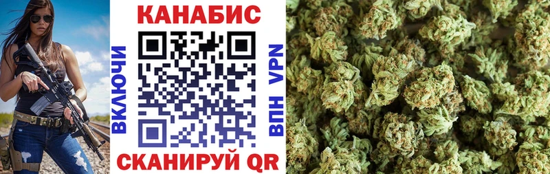 Купить где  Чадан  Конопля семена 